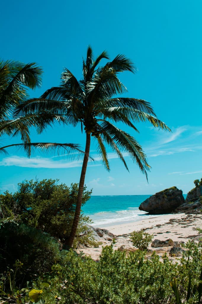 Tropical beach with white sand and clear water